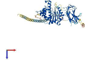 MGAT4B Protein (AA 1-548) (His tag)