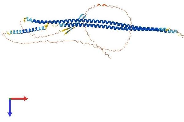 Keratin 24 Protein (KRT24) (AA 1-512) (His tag)
