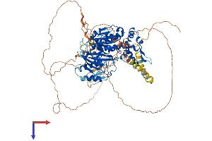 DENND1B Protein (AA 1-775) (His tag)