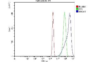 Flow Cytometry analysis of U20S cells using anti-Heme Oxygenase 1/HMOX1 antibody (ABIN7600408). (HMOX1 Antikörper  (AA 19-269))