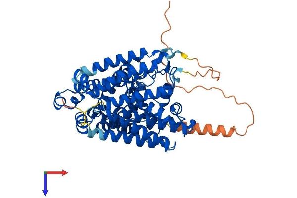 MBOAT2 Protein (AA 1-520) (His tag)