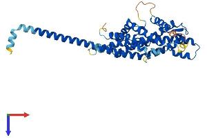 PEX3 Protein (AA 1-372) (His tag)