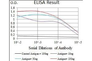 Black line: Control Antigen (100 ng), Purple line: Antigen(10 ng), Blue line: Antigen (50 ng), Red line: Antigen (100 ng), (MAP1LC3A Antikörper  (AA 1-121))