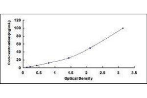 Meteorin, Glial Cell Differentiation Regulator-Like (METRNL) ELISA Kit