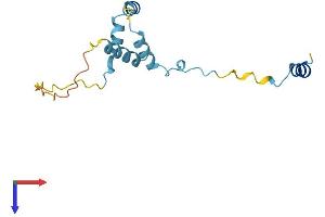 RPS19BP1 Protein (AA 1-136) (His tag)