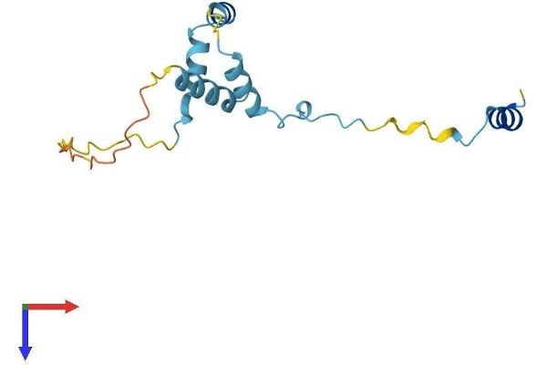 RPS19BP1 Protein (AA 1-136) (His tag)