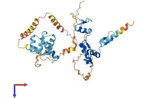 ZNF24 Protein (AA 1-368) (His tag)