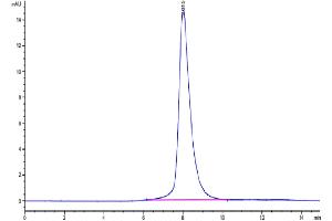 The purity of Human GAS6 is greater than 95 % as determined by SEC-HPLC. (GAS6 Protein (AA 49-678) (His tag))