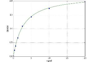 A typical standard curve