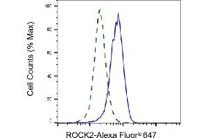 Validation of ROCK2 knockdown using flow cytometry. (Rekombinanter ROCK2 Antikörper)