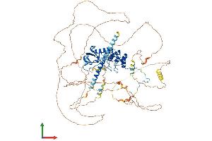 Protein Structure (PS) image for Protein Phosphatase 1, Regulatory Subunit 13 Like (PPP1R13L) (AA 1-824) protein (His tag) (ABIN7563823)