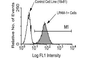 Flow Cytometry (FACS) image for anti-Integrin beta 7 (ITGB7) antibody (ABIN371135)