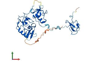 Protein Structure (PS) image for PHD Finger Protein 7 (PHF7) (AA 1-307) protein (His tag) (ABIN7561219)