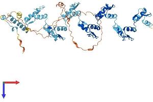 ZNF599 Protein (AA 1-588) (His tag)