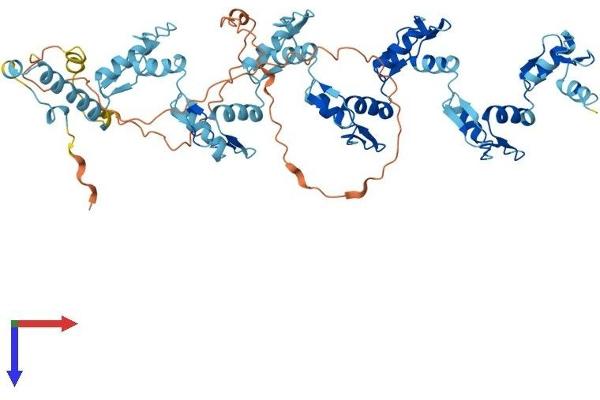 ZNF599 Protein (AA 1-588) (His tag)
