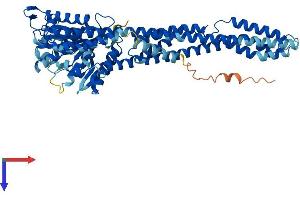 GBP6 Protein (AA 1-633) (His tag)