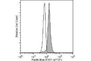 Flow Cytometry (FACS) image for anti-Signal Transducer and Activator of Transcription 1, 91kDa (STAT1) (pTyr701) antibody (Pacific Blue) (ABIN1177182)