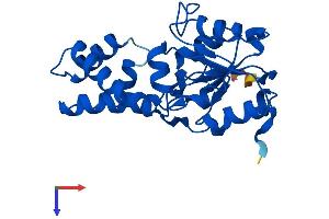 HDHD1 Protein (AA 1-234) (His tag)