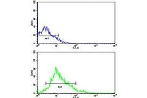 Flow Cytometry (FACS) image for anti-Lin-28 Homolog B (LIN28B) (AA 95-128) antibody (ABIN3031627)