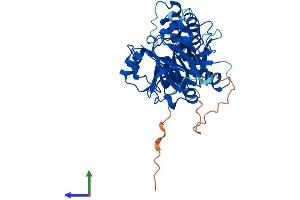 Protein Structure (PS) image for Jumonji Domain Containing 5 (JMJD5) (AA 1-416) protein (His tag) (ABIN7548780)