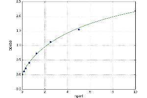 Aryl Hydrocarbon Receptor Nuclear Translocator (ARNT) ELISA Kit
