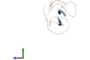 Protein Structure (PS) image for Keratin 5 (KRT5) (AA 1-590) protein (His tag) (ABIN7548679)