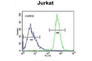 Flow Cytometry (FACS) image for anti-Free Fatty Acid Receptor 3 (FFAR3) antibody (ABIN3002269) (FFAR3 Antikörper)
