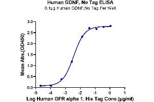 Immobilized Human GDNF, No Tag at 1 μg/mL (100 μL/well) on the plate. (GDNF Protein (AA 78-211))