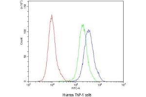 Flow cytometry testing of human ThP-1 cells with CD163 antibody at 1ug/10^6 cells (blocked with goat sera) (CD163 Antikörper)
