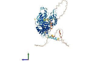 AlphaFold protein structure predicition of Human Recombinant SRPRA Protein, UniprotID P08240 (SRPRA (AA 1-638) protein (His tag))