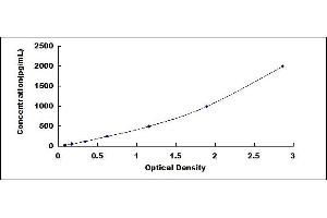 Thyroglobulin ELISA Kit