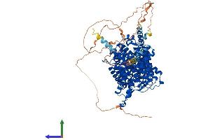 AlphaFold protein structure predicition of Human Recombinant SLC14A2 Protein, UniprotID Q15849 (Solute Carrier Family 14 (Urea Transporter, Kidney) Member 2 (SLC14A2) (AA 1-920) protein (His tag))