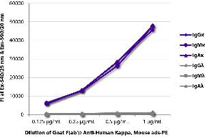 FLISA plate was coated with purified human IgGκ, IgMκ, IgAκ, IgGλ, IgMλ, and IgAλ. (Ziege anti-Human Immunoglobulin kappa Chain Complex (Igk) (Chain kappa) Antikörper (PE) - Preadsorbed)