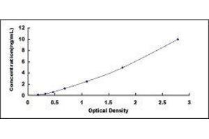 AHNAK Nucleoprotein (AHNAK) ELISA Kit