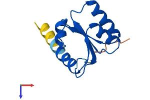 RPL30 Protein (AA 1-115) (His tag)