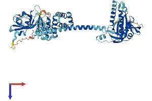 GUCY1B3 Protein (AA 1-619) (His tag)
