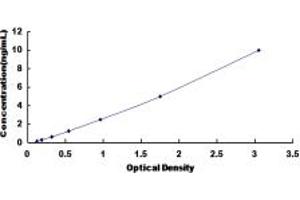 Typical standard curve (GABRA2 ELISA Kit)