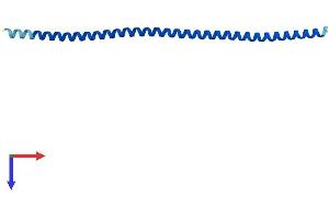 Ankyrin Repeat Domain 36B Pseudogene 1 (ANKRD36BP1) (AA 1-119) protein (His tag)