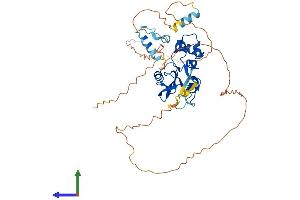 Protein Structure (PS) image for Suppressor of Cytokine Signaling 4 (SOCS4) (AA 1-440) protein (His tag) (ABIN7546144)