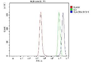 Flow Cytometry analysis of Daudi cells using anti-HLA-DRA antibody (ABIN7600950). (HLA-DRA Antikörper  (AA 26-254))