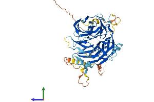 Protein Structure (PS) image for DDB1 and CUL4 Associated Factor 12-Like 1 (DCAF12L1) (AA 1-463) protein (His tag) (ABIN7546950)
