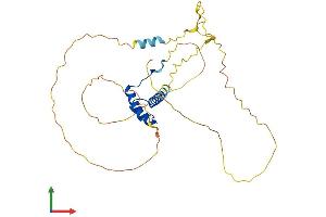AlphaFold protein structure predicition of Human Recombinant NKX2-6 Protein, UniprotID A6NCS4 (NKX2-6 Protein (AA 1-301) (His tag))