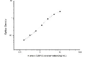 Typical standard curve (GAP43 ELISA Kit)