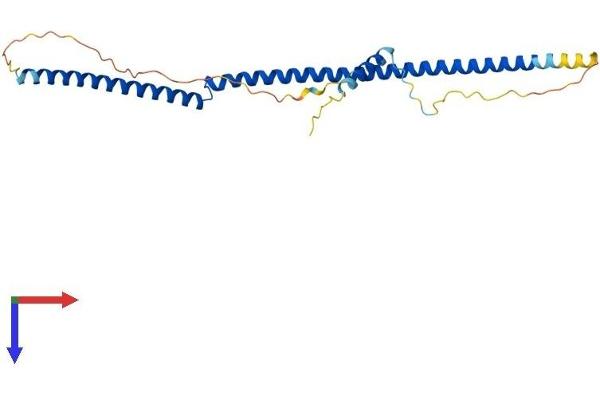 BRMS1 Protein (AA 1-246) (His tag)