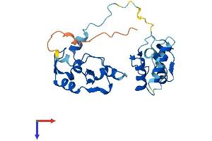 RNF166 Protein (AA 1-237) (His tag)