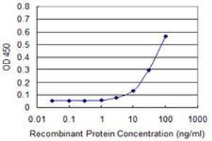 Detection limit for recombinant GST tagged FLJ20643 is approximately 10ng/ml as a capture antibody. (PIH1D1 Antikörper  (AA 1-290))