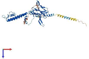 KCNJ6 Protein (AA 1-423) (His tag)