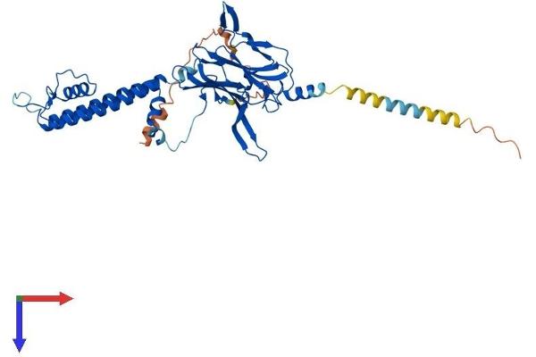 KCNJ6 Protein (AA 1-423) (His tag)