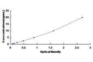 ELISA image for BMI1 Polycomb Ring Finger Oncogene (BMI1) ELISA Kit (ABIN421295)