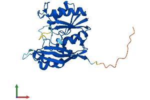 Protein Structure (PS) image for ATP Binding Domain 4 (ATPBD4) (AA 1-267) protein (His tag) (ABIN7547189)